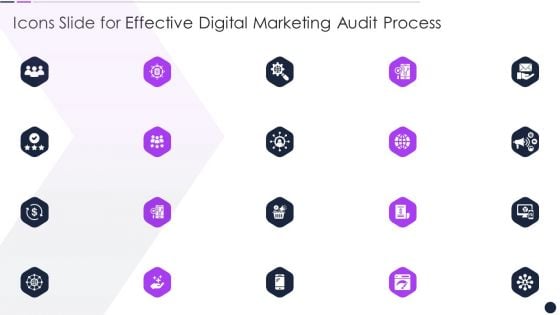 Icons Slide For Effective Digital Marketing Audit Process Portrait PDF