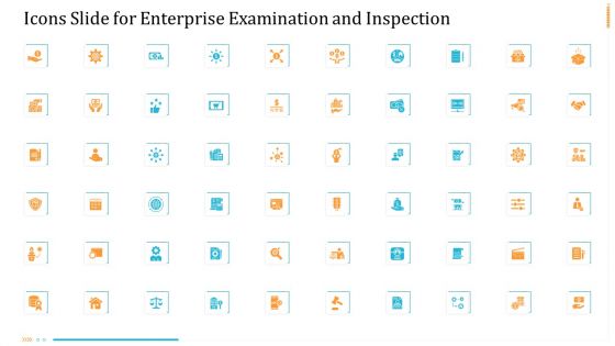 Icons Slide For Enterprise Examination And Inspection Rules PDF