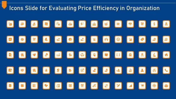 Icons Slide For Evaluating Price Efficiency In Organization Topics PDF