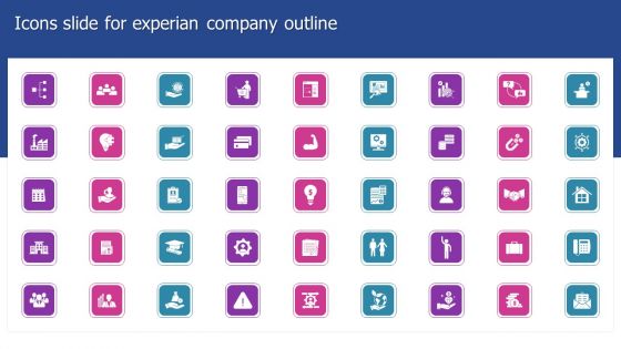 Icons Slide For Experian Company Outline Formats PDF