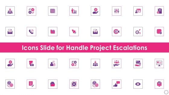 Icons Slide For Handle Project Escalations Ppt Styles Infographic Template PDF