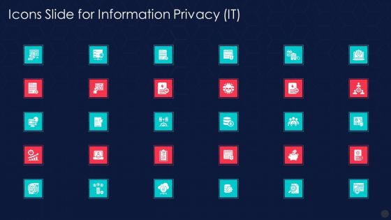 Icons Slide For Information Privacy It Demonstration PDF