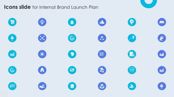 Icons Slide For Internal Brand Launch Plan Introduction PDF