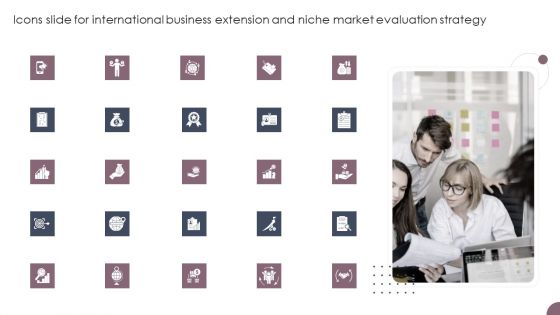 Icons Slide For International Business Extension And Niche Market Evaluation Strategy Inspiration PDF