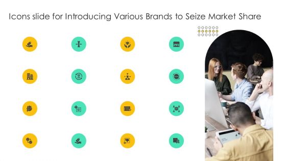 Icons Slide For Introducing Various Brands To Seize Market Share Summary PDF