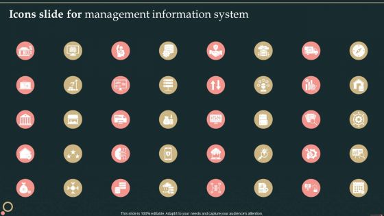 Icons Slide For Management Information System Themes PDF