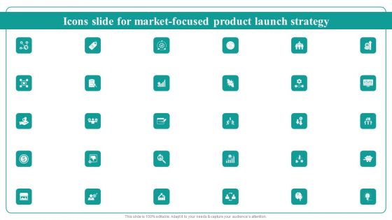 Icons Slide For Market Focused Product Launch Strategy Professional PDF