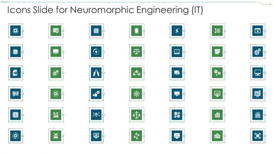 Icons Slide For Neuromorphic Engineering IT Summary PDF