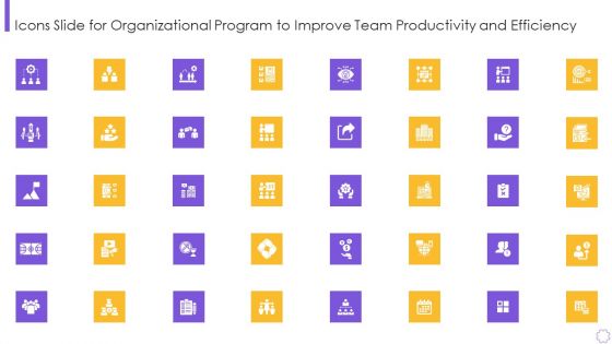 Icons Slide For Organizational Program To Improve Team Productivity And Efficiency Icons PDF