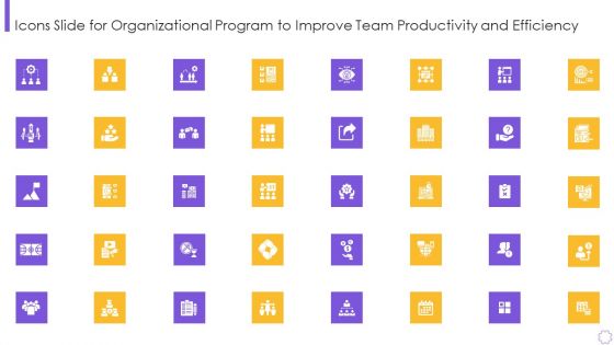 Icons Slide For Organizational Program To Improve Team Productivity And Efficiency Introduction PDF