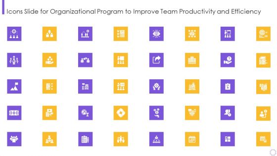 Icons Slide For Organizational Program To Improve Team Productivity And Efficiency Introduction PDF