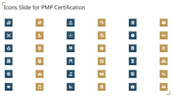 Icons Slide For PMP Certification Ppt Show Display PDF