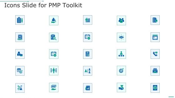 Icons Slide For PMP Toolkit Ppt Gallery PDF