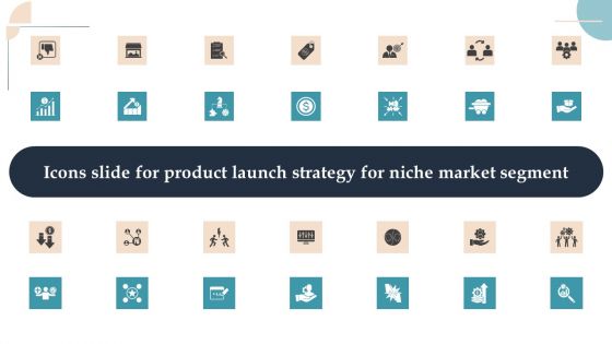 Icons Slide For Product Launch Strategy For Niche Market Segment Designs PDF Icons Slide For Product Launch Strategy For Niche Market Segment Designs PDF