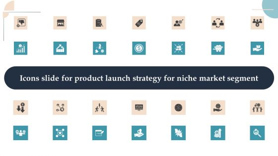 Icons Slide For Product Launch Strategy For Niche Market Segment Designs PDF