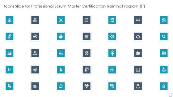 Icons Slide For Professional Scrum Master Certification Training Program IT Information PDF