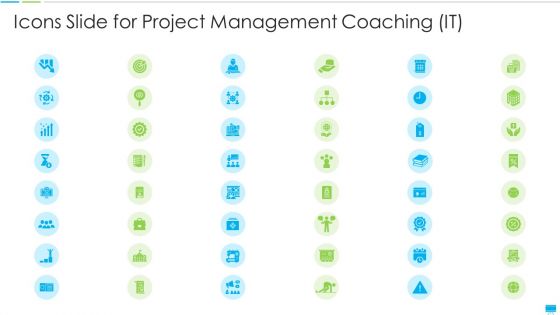 Icons Slide For Project Management Coaching IT Download PDF