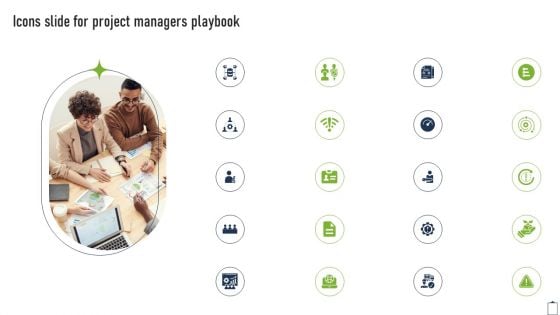 Icons Slide For Project Managers Playbook Pictures PDF