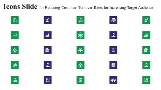 Icons Slide For Reducing Customer Turnover Rates For Increasing Target Audience Graphics PDF