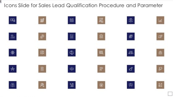 Icons Slide For Sales Lead Qualification Procedure And Parameter Summary PDF