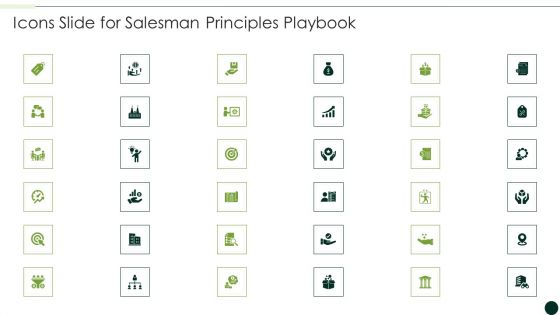 Icons Slide For Salesman Principles Playbook Summary PDF