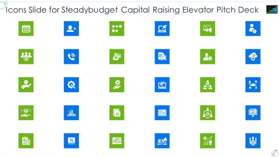 Icons Slide For Steadybudget Capital Raising Elevator Pitch Deck Background PDF