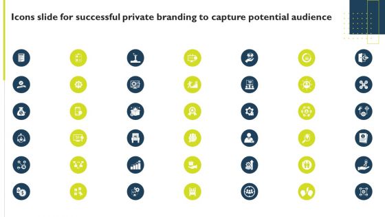 Icons Slide For Successful Private Branding To Capture Potential Audience Themes PDF