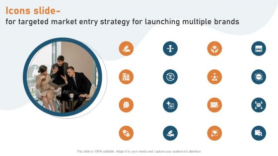 Icons Slide For Targeted Market Entry Strategy For Launching Multiple Brands Download PDF