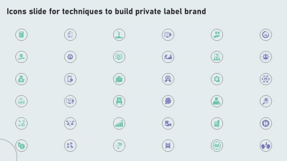 Icons Slide For Techniques To Build Private Label Brand Designs PDF