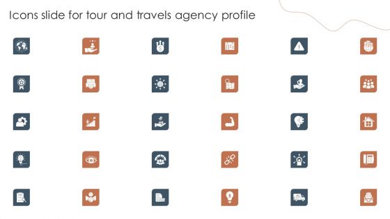 Icons Slide For Tour And Travels Agency Profile Formats PDF