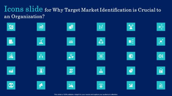 Icons Slide For Why Target Market Identification Is Crucial To An Organization Microsoft PDF