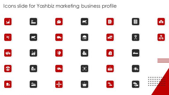 Icons Slide For Yashbiz Marketing Business Profile Guidelines PDF