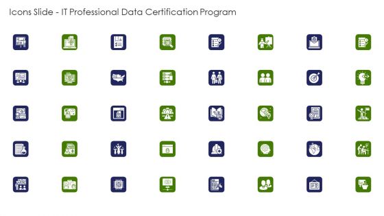 Icons Slide IT Professional Data Certification Programprograms Sample PDF