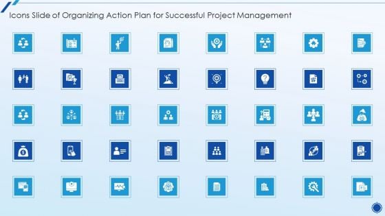 Icons Slide Organizing Action Plan For Successful Project Management Slides PDF