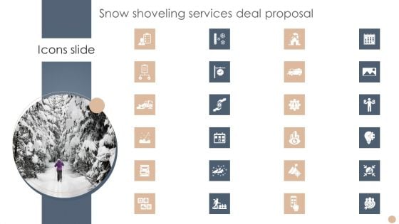 Icons Slide Snow Shoveling Services Deal Proposal Slide4 Diagrams PDF