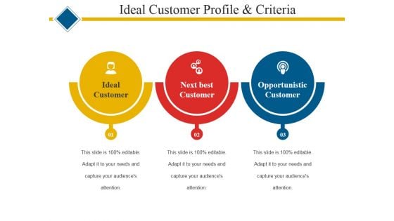 Ideal Customer Profile And Criteria Ppt PowerPoint Presentation Icon Show