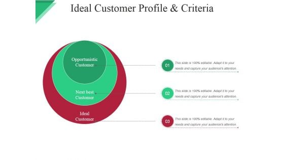 Ideal Customer Profile And Criteria Ppt PowerPoint Presentation Outline Examples