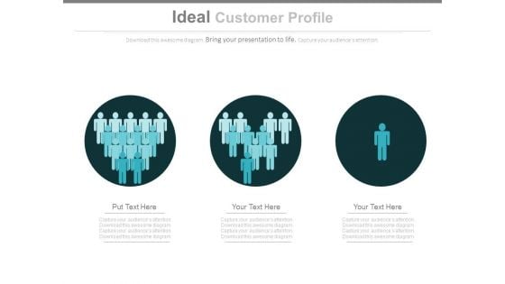 Ideal Customer Profile Ppt Slides