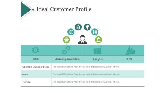 Ideal Customer Profile Template 1 Ppt PowerPoint Presentation Gallery