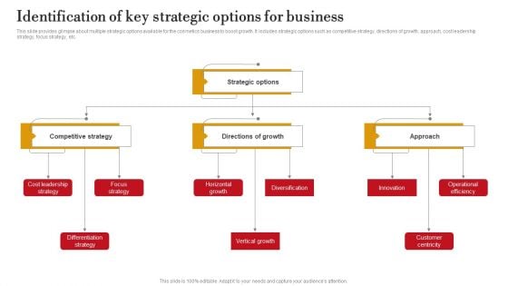 Identification Of Key Strategic Options For Business Ppt PowerPoint Presentation File Icon PDF