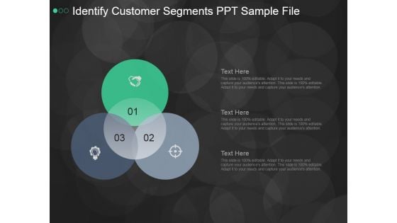 Identify Customer Segments Ppt PowerPoint Presentation Ideas