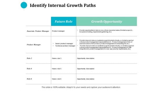 Identify Internal Growth Paths Ppt PowerPoint Presentation Model Inspiration