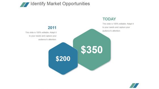 Identify Market Opportunities Ppt PowerPoint Presentation Guidelines