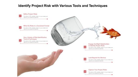Identify Project Risk With Various Tools And Techniques Ppt PowerPoint Presentation Infographics Slides PDF