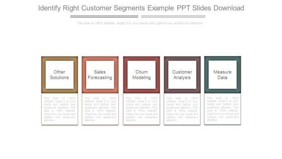 Identify Right Customer Segments Example Ppt Slides Download