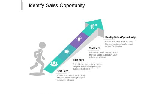 Identify Sales Opportunity Ppt PowerPoint Presentation File Slide Cpb