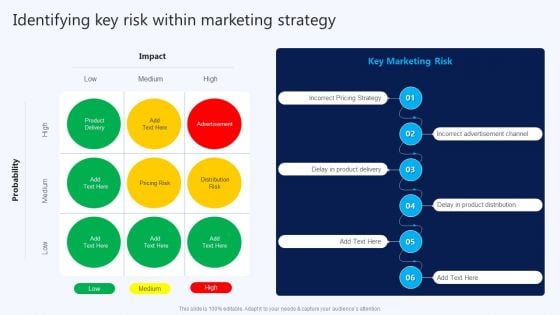 Identifying Key Risk Within Marketing Strategy B2B Electronic Commerce Startup Infographics PDF