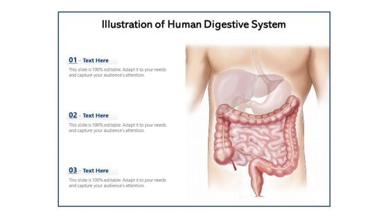 Illustration Of Human Digestive System Ppt PowerPoint Presentation File Visuals PDF