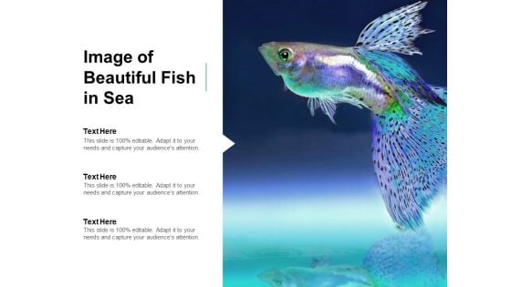 Image Of Beautiful Fish In Sea Ppt PowerPoint Presentation Pictures Professional