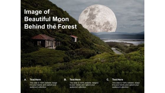 Image Of Beautiful Moon Behind The Forest Ppt PowerPoint Presentation Show Graphic Images